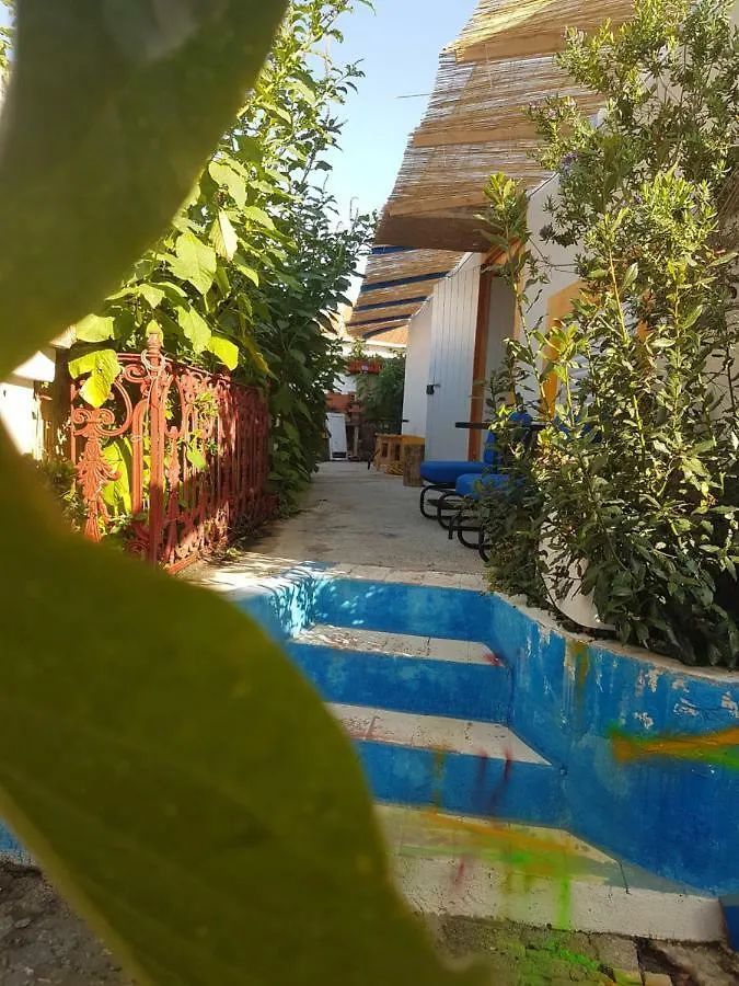 לינה וארוחת בוקר ליסבון B&B D'Arte